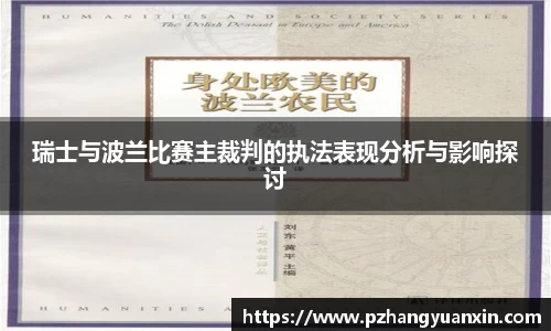 瑞士与波兰比赛主裁判的执法表现分析与影响探讨