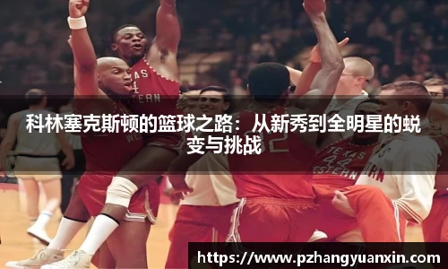 科林塞克斯顿的篮球之路：从新秀到全明星的蜕变与挑战